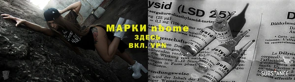 прущие грибы Майский