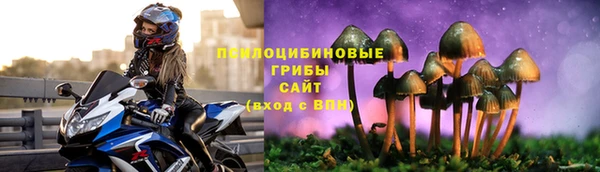 2c-b Алзамай