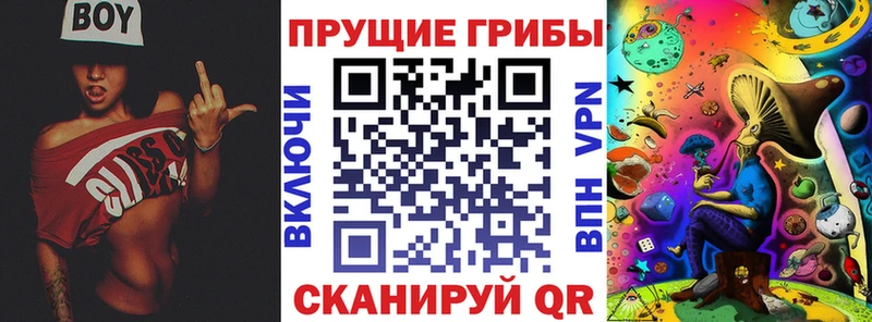Галлюциногенные грибы Psilocybe  Ессентукская 